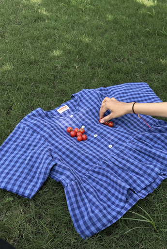 Indigo Handloom Top